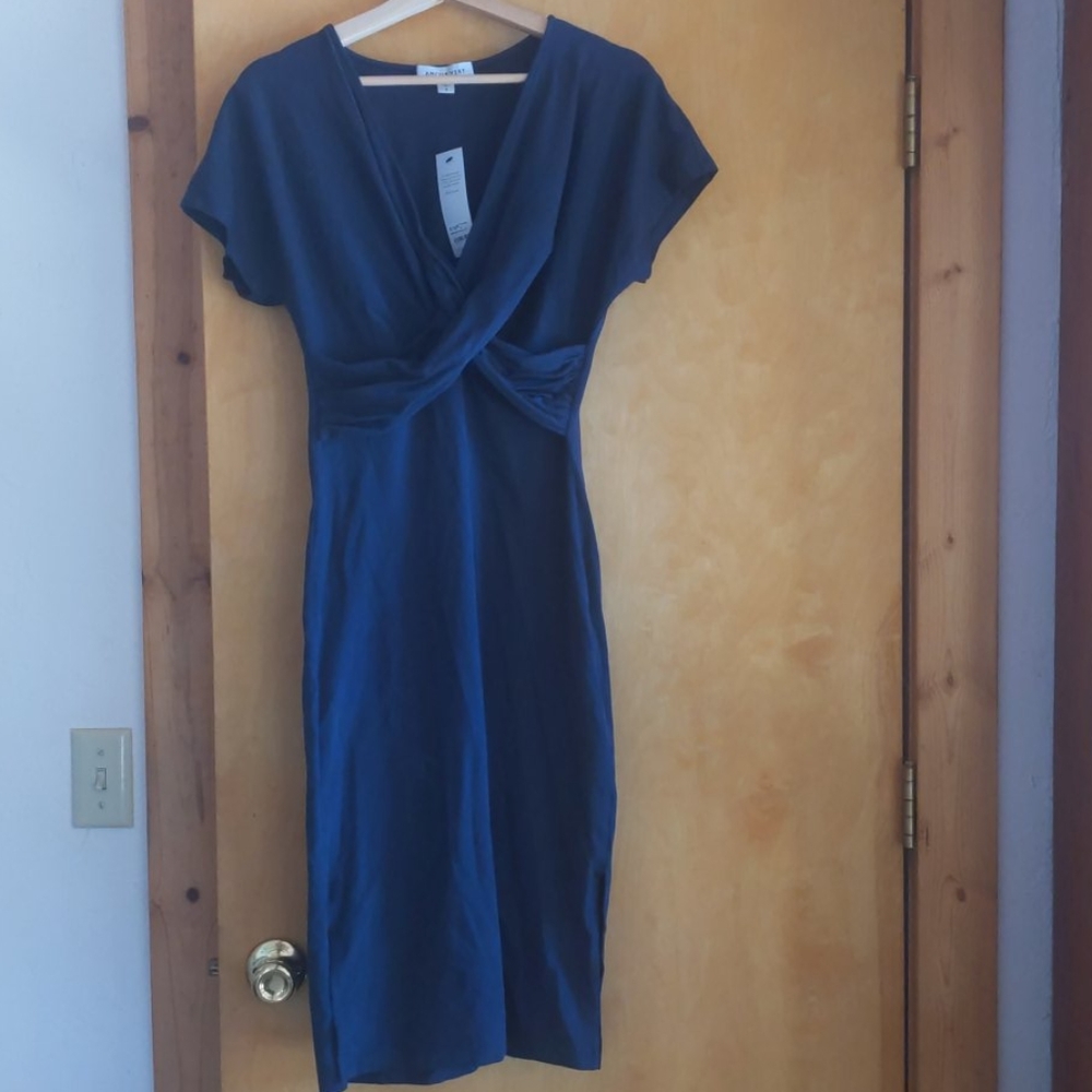 NWT Amour Vert Navy Francesco Dress - S